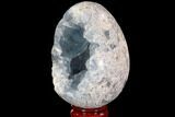 Crystal Filled Celestine (Celestite) Egg Geode - Large Crystals! #88299-1